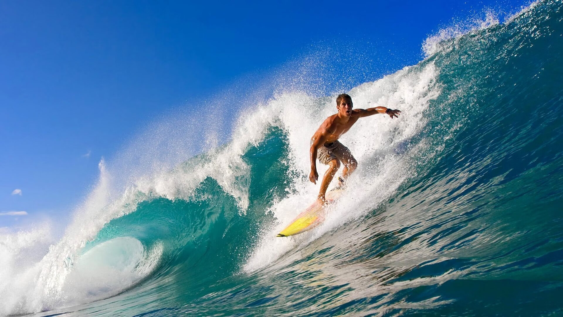 美国马术协会与美洲马术协会合作，举办国际马术交流活动，促进文化互鉴。